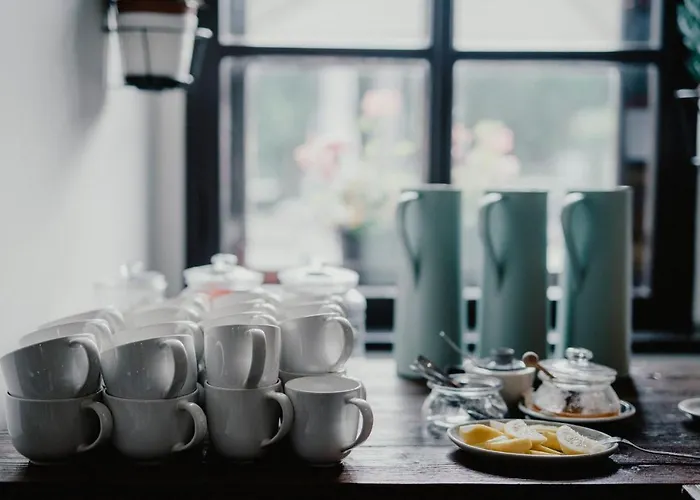 Long Story Short & Cafe Olmütz